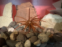 Load image into Gallery viewer, Urchin 20mm Super TPE Floating
